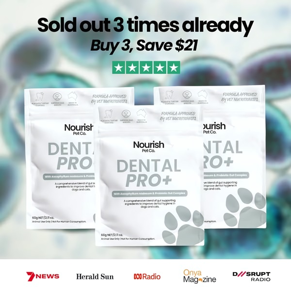 This static square creative uses clear text-based social proof and a direct monetary offer to promote a dental supplement for pets.